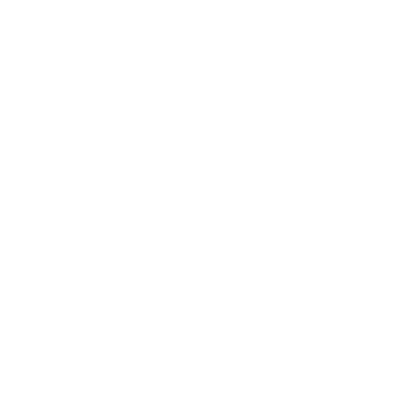 Diakonissen Speyer Schulen für Gesundheit und Soziales